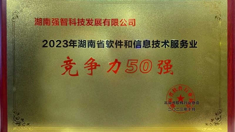 小标题：企业IT外包的必要性