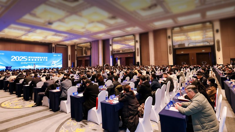 软件采购授权方式的揭秘：选择之道